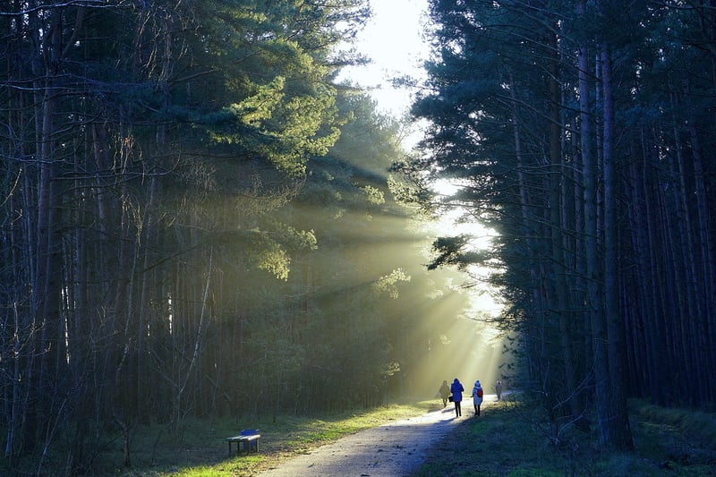Nature Walking Meditation